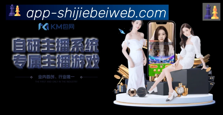 未来规划